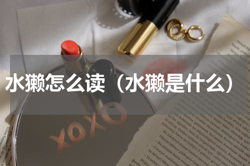 水獭怎么读（水獭是什么）