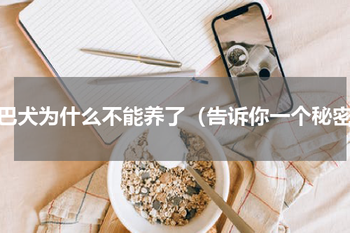 京巴犬为什么不能养了（告诉你一个秘密）