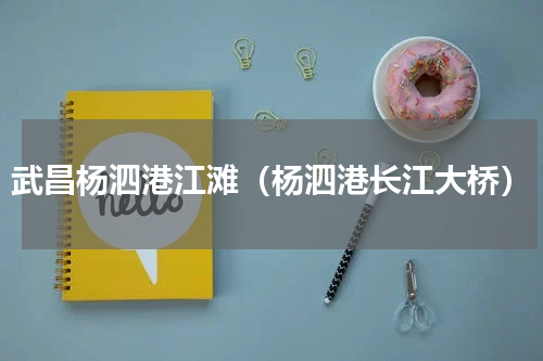 武昌杨泗港江滩（杨泗港长江大桥）