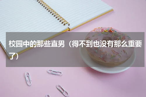 校园中的那些直男（得不到也没有那么重要了）