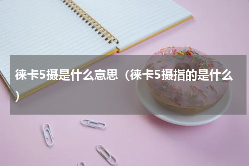徕卡5摄是什么意思（徕卡5摄指的是什么）