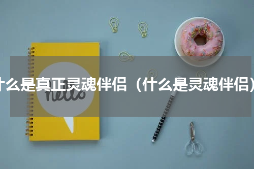 什么是真正灵魂伴侣（什么是灵魂伴侣）