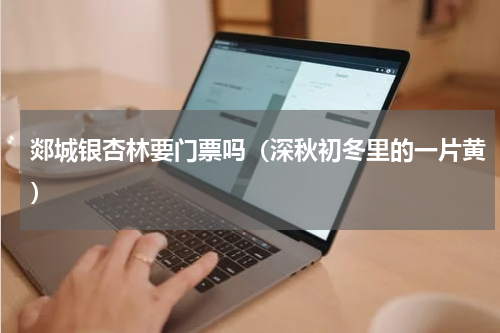 郯城银杏林要门票吗（深秋初冬里的一片黄）