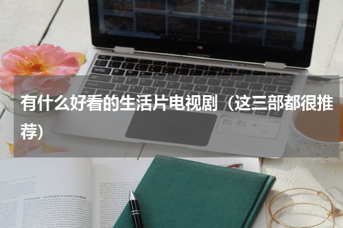 有什么好看的生活片电视剧（这三部都很推荐）