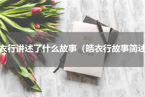 皓衣行讲述了什么故事（皓衣行故事简述）