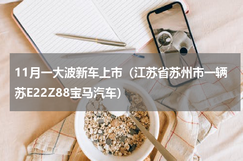 11月一大波新车上市（江苏省苏州市一辆苏E22Z88宝马汽车）