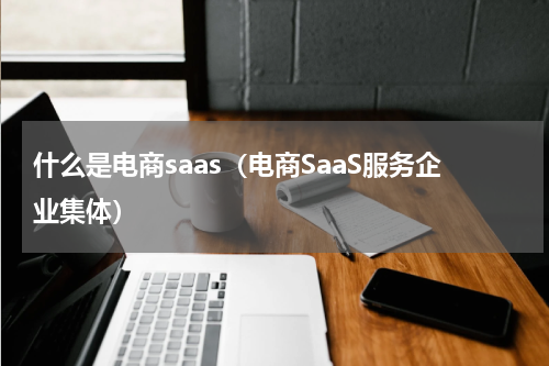 什么是电商saas（电商SaaS服务企业集体）