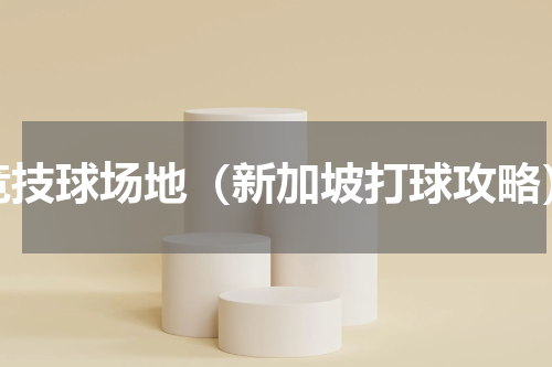 竞技球场地（新加坡打球攻略）