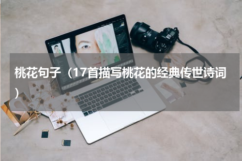 桃花句子（17首描写桃花的经典传世诗词）