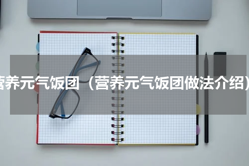营养元气饭团（营养元气饭团做法介绍）