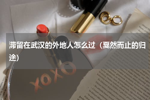 滞留在武汉的外地人怎么过（戛然而止的归途）