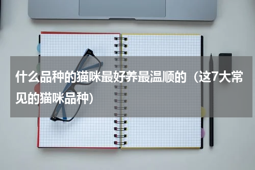 什么品种的猫咪最好养最温顺的（这7大常见的猫咪品种）