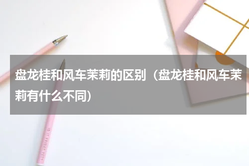 盘龙桂和风车茉莉的区别（盘龙桂和风车茉莉有什么不同）