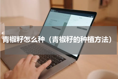 青椒籽怎么种（青椒籽的种植方法）