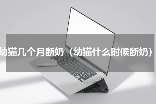 幼猫几个月断奶（幼猫什么时候断奶）