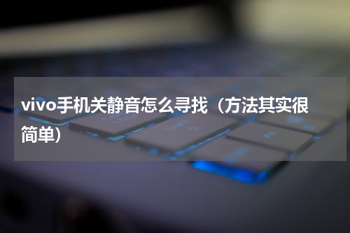 vivo手机关静音怎么寻找（方法其实很简单）