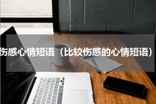 伤感心情短语（比较伤感的心情短语）