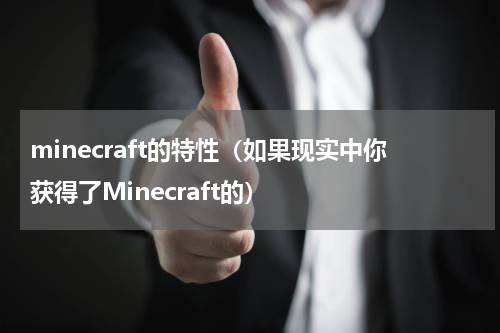 minecraft的特性（如果现实中你获得了Minecraft的）