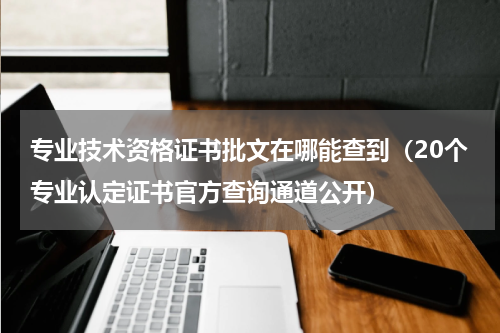 专业技术资格证书批文在哪能查到（20个专业认定证书官方查询通道公开）