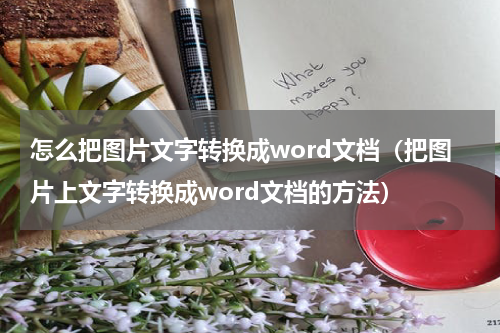 怎么把图片文字转换成word文档（把图片上文字转换成word文档的方法）
