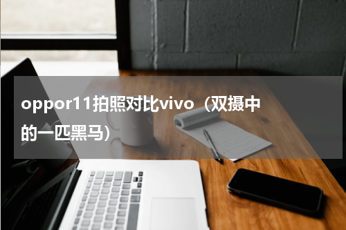oppor11拍照对比vivo（双摄中的一匹黑马）