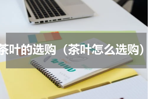 茶叶的选购（茶叶怎么选购）