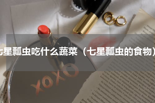 七星瓢虫吃什么蔬菜（七星瓢虫的食物）