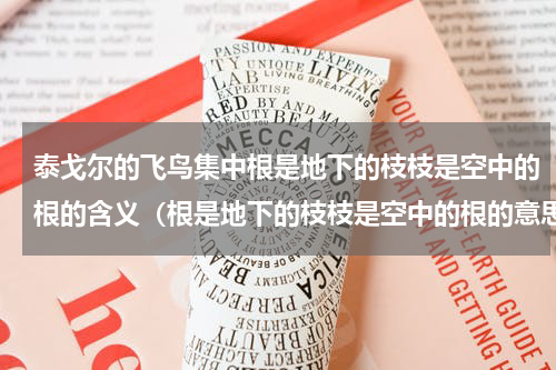泰戈尔的飞鸟集中根是地下的枝枝是空中的根的含义（根是地下的枝枝是空中的根的意思）