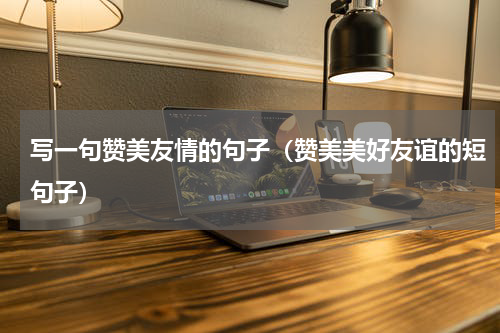写一句赞美友情的句子（赞美美好友谊的短句子）