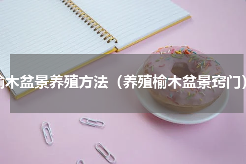 榆木盆景养殖方法（养殖榆木盆景窍门）