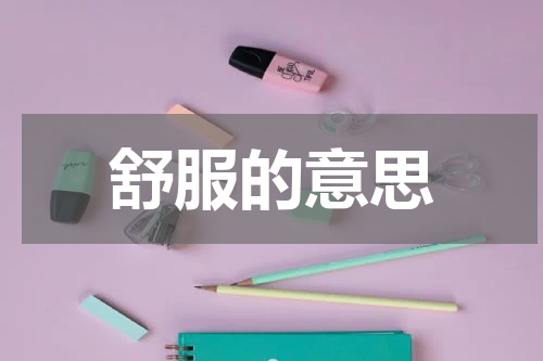 舒服的意思