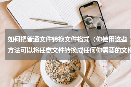 如何把普通文件转换文件格式（你使用这些方法可以将任意文件转换成任何你需要的文件格式）