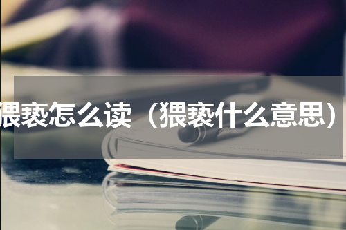 猥亵怎么读（猥亵什么意思）