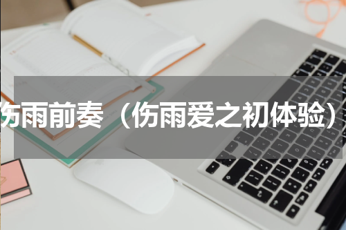 伤雨前奏（伤雨爱之初体验）
