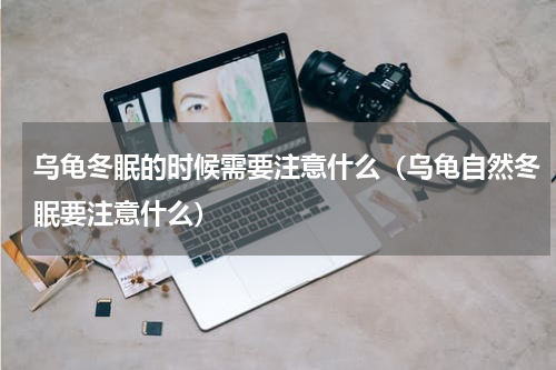 乌龟冬眠的时候需要注意什么（乌龟自然冬眠要注意什么）