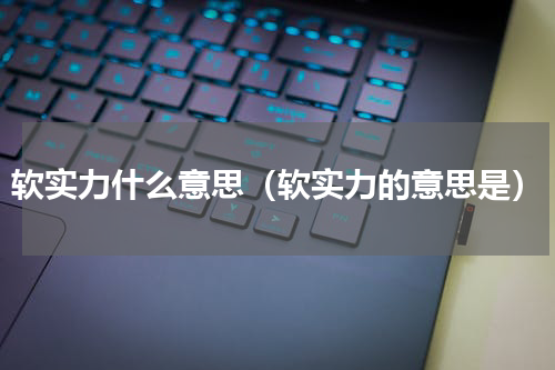 软实力什么意思（软实力的意思是）