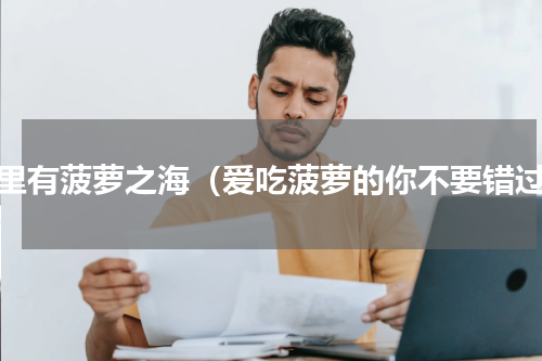 哪里有菠萝之海（爱吃菠萝的你不要错过）