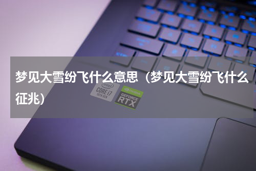 梦见大雪纷飞什么意思（梦见大雪纷飞什么征兆）