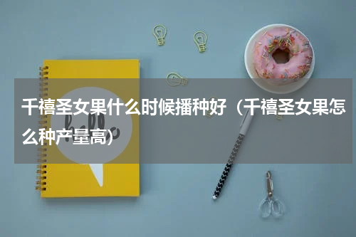 千禧圣女果什么时候播种好（千禧圣女果怎么种产量高）