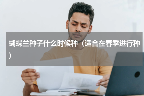 蝴蝶兰种子什么时候种（适合在春季进行种）