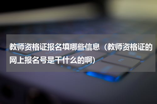 教师资格证报名填哪些信息（教师资格证的网上报名号是干什么的啊）
