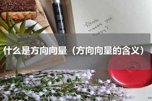 什么是方向向量（方向向量的含义）