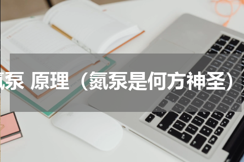氮泵 原理（氮泵是何方神圣）