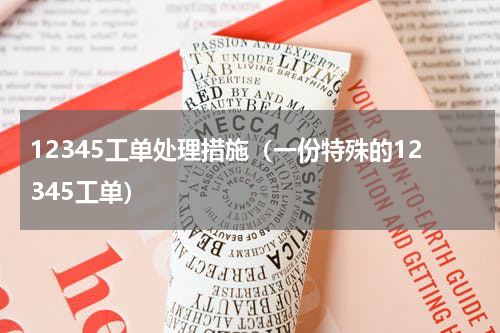 12345工单处理措施（一份特殊的12345工单）