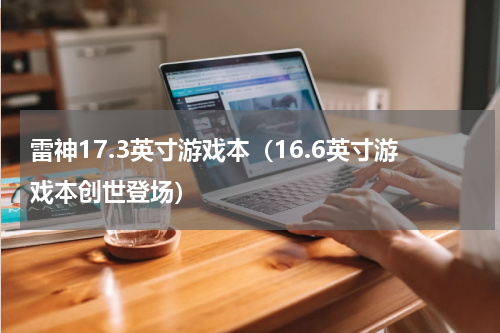 雷神17.3英寸游戏本（16.6英寸游戏本创世登场）