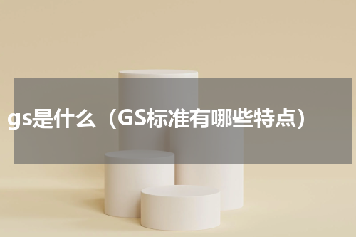 gs是什么（GS标准有哪些特点）