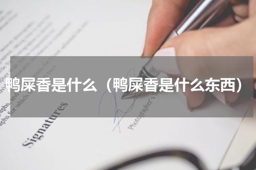 鸭屎香是什么（鸭屎香是什么东西）