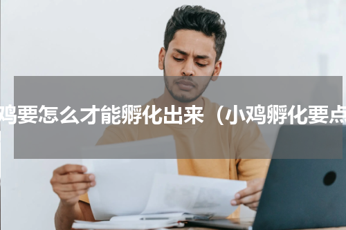 小鸡要怎么才能孵化出来（小鸡孵化要点）