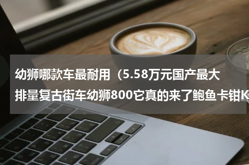 幼狮哪款车最耐用（5.58万元国产最大排量复古街车幼狮800它真的来了鲍鱼卡钳KYB避震）