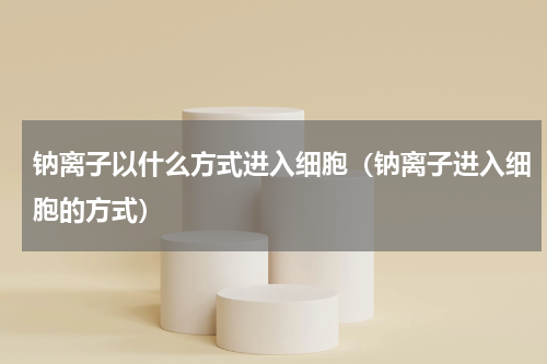 钠离子以什么方式进入细胞（钠离子进入细胞的方式）